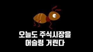 558일차 매일 미국 주식 사는 남자 20210812