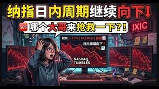 【美股富豪】纳指日内周期继续向下！哪个大哥来抢救一下？