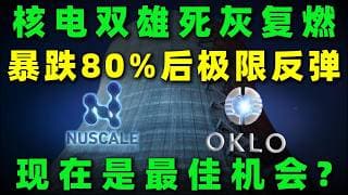 暴跌80%全网抛弃，两周狂飙60%惊艳回归，核电双雄暴力反弹！回光返照还是翻倍行情的起点？看懂三个信号，别再错过下次的主升浪！SMR,OKLO,NVDA#美股 #投資 #熱門 #trading #核电