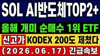 [SOL AI반도체TOP2플러스 주가 전망] ETF로 옮겨간 빚투 광풍! "진짜 이유"…올해 투자자 인기 1등 ETF 타점 대응 총정리