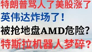 美股1174|特朗普骂人了美股涨了!英伟达炸场!被抢地盘AMD 危险了?特斯拉的机器人梦碎了? #nvda #amd #tsla #美股 #美股分析 #drmikeinvest