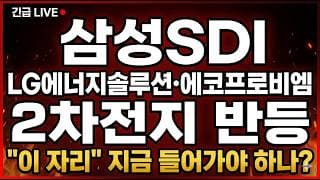 [삼성SDI 주가 전망] (긴급) LG에너지솔루션·에코프로비엠 2차전지 반등 점화! "이 자리" 지금 들어가야 하나?