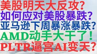 美股1204|美股明天大反攻?如何应对美股暴跌?亚马逊下周暴涨还是暴跌?AMD动手大干了?PLTR逼宫AI变天! #amzn #pltr #amd #美股 #美股分析 #Drmikeinvest