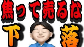 【6.24】高値からの下落はつきもの‼️買いも売りも焦る必要ないと考えます👍米国株投資🇺🇸