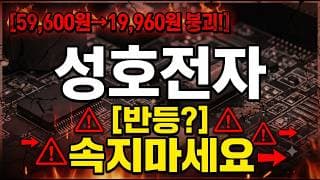 [성호전자 주가 전망] 반등에 속지마세요! #성호전자 #성호전자주가 #성호전자주가전망