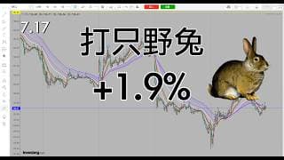 超跌反弹等待做多，打只野兔
