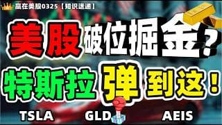 #股票|#赢在美股|美股破位掘金？特斯拉弹到这！#TSLA#GLD#AEIS