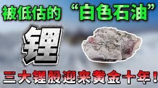 锂：被禁令引爆的“白色石油”，全球供应告急，三大锂巨头迎来爆发期ALB SQM RIO LAC  #美股 #新能源