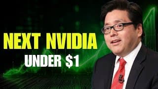 4 Strong Small-cap Semiconductor Stocks Under $1 to Watch for 2026‼️ (High Risk, High Reward)