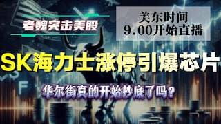 美股解析｜SK海力士涨停引爆芯片！华尔街真的开始抄底了吗？#美股 #英伟达 #甲骨文 #英特尔 #特斯拉 #soun #苹果 #投資  #crcl  #amd