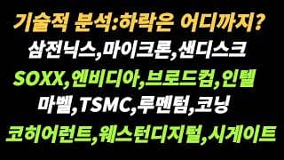 (반도체) 하락이 펀더멘탈인지 외부변수인지 생각해보자
