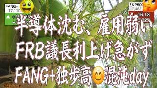 FANG+４連騰。ようやくメタ、パランティア、ネットフリックスが重い腰をあげる。半導体は大きく沈む。メタのAI事業外部提供で美味しいところを横取りされる【米国株ニュー 新NISA攻略】