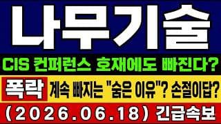 [나무기술 주가 전망] 속보🚨 계속 빠지는 "숨은 이유"…? 주주님도 알고 계시죠? CIS 컨퍼런스 각종 호재에도 폭락 손절이 답인가? 타점 및 대응 총공개