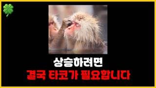 실적은 어차피 잘 나올 겁니다. 지금은 타코(TACO)가 중요해요.(붕괴 트리거는 마진 부채입니다.)