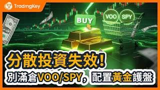 被動投資暗藏陷阱！定投 VOO/SPY 等於豪賭 AI？標普 500 高達 41% 集中 AI，你正不知不覺成為 AI 賭徒！2 招自查組合風險，為何配置黃金就能破解危機？