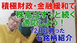 高市積極財政で株は上がり続ける！適応しよう！１２月に買った日本株６つご紹介
