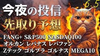 半導体煉獄攻め 今日は厳しい🫠FANG+はマイクロン、ブロードコムで大きく下げる。梅雨なの！？旅ソングはグアムの続きだよ【今夜の投信予想】
