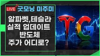 [굿모닝 미주미] 알파벳, 테슬라 2 분기 실적 핵심 키워드, 반도체 주가는 어디로?    #미주미 #이항영