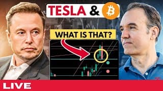 Was Tesla alone in suffering a pull back today?