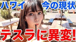 【ハワイの今】テスラに異変！ハワイの現状と最新情報をお届けします！【ハワイ旅行】