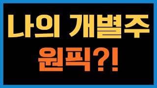 TQQQ미친놈이 만약 개별주를 산다면!?