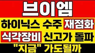 [브이엠 주가 전망] SK하이닉스 수주 "결정적 한방" 터졌다! 지금 가도 될까? 브이엠 주주님들, 오늘 신고가만 보고 웃으면 안 됩니다.