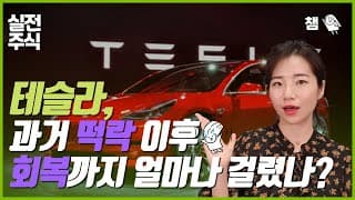 머스크형.. 테슬라 왜이래?😭😭 과거 급락 사례 점검❗ 낙폭 회복 기간? 최대 낙폭?
