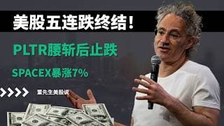 【美股】科技股王者归来，PLTR腰斩后止跌，SpaceX、特斯拉、芯片股集体爆发，抄底机会来了？#美股 #美股分析 #董先生美股说 #pltr #spacex #特斯拉 #芯片股 #康宁 #比特币