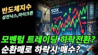 (반도체지수) 7월모멘텀 etf는 하락을 보이지만 펀드멘탈은 안꺽였다!!!