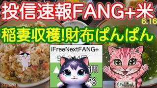 稲妻の味！FANG+、NASDAQ100、半導体きたね、そして意外なモメンタムが急上昇！レバナス軍団も最高値近づく！平和で株高それが最高！お財布をぱんぱんにしてくれます【投信確定速報】
