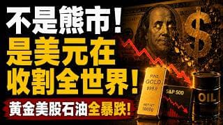 黃金、美股、石油一起暴跌！真相曝光：這是美元正在打響對抗去美元化的終極貨幣戰爭！美聯儲沉默三週，真正的大事發生了！黃金暴跌背後藏著驚人真相