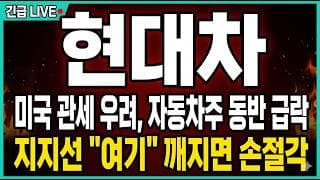 [현대차 주가전망] 미국 관세 우려에 자동차주 동반 급락, 기아·현대모비스 주의 !? 지금 지지선 "여기" 깨지면 손절각입니다.