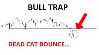 Technical Analysis of Stocks: SPY / QQQ / NVDA / TSLA / AMD / PLTR / AVGO