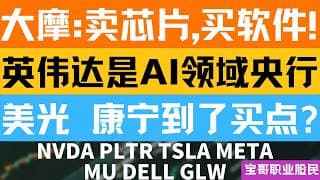 大摩:卖芯片,买软件! 英伟达是AI领域央行！美光 康宁到了买点? NVDA PLTR TSLA MU DELL GLW META！07072026 #美股 #股票 #美股分析 #投資