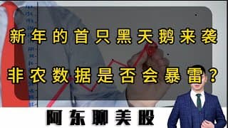 新年的首只黑天鹅来袭？非农数据是否会暴雷？明天操作策略提前公布！#美股 #美股操作策略 #投資 #熱門 #非农数据#SNDK#RKLB#铜股票走势分析#ONDS#FIGR#非农数据#