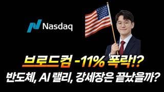 브로드컴 폭락?!, 반도체, AI 랠리 강세장은 끝났을까? (브로드컴, 엔비디아, SOXL, 테슬라, MSTZ, 로캣랩, 비트코인, 아이온큐, 리게티 컴퓨팅, 실스크, 팔란티어)