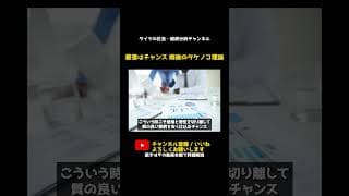 暴落はチャンス 雨後のタケノコ理論 | #テスラ株全力ちゃんねるのタイツ @all_tsla