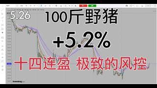 再来一只野猪，明天再打野牛，连续14日盈利，靠的是极致的风控与准确的趋势判断
