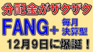 分配金がザクザク！FANG+毎月決算型が爆誕！