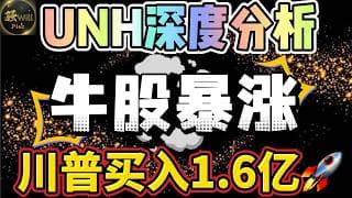 美股投资｜买入1.6亿 UNH财报深度分析.特斯拉Tsla抄底?美股即将剧烈波动｜美股趋势分析｜美股期权交易｜美股赚钱｜美股2026