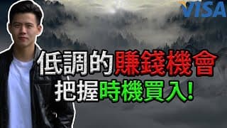 低調的賺錢機器 , 趁低買入這只股票 | Visa 美股分析