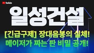 일성건설 주가 전망 / [긴급구제] 장대음봉의 실체! 메이저가 짜는 판 비밀 공개!