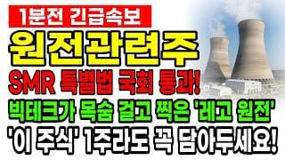 [SMR 원전관련주]🚨“칩은 쌓였는데 콘센트가 없다!” SMR 특별법 국회 통과... 2030년 60조 시장 싹쓸이할 독점 대장주 BEST 3