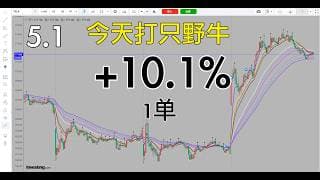 今天是守株待野牛，精准出击，会员朋友今天也打只特斯拉383买入价大野牛，继续保持节奏，下次再打只200斤的。