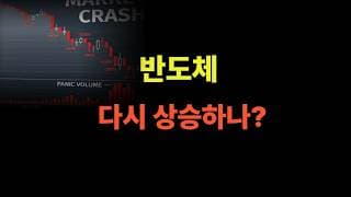 전량 매도했습니다. But 이종목~ (테슬라,메타,구글,애플,마소,아마존)
