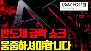 ⚠️ 반도체 급락 사태, 핑계일 뿐입니다. 전 웅줍합니다.