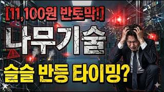 [나무기술 주가 전망] 반등 안올겁니다? #나무기술 #나무기술주가 #나무기술주가전망