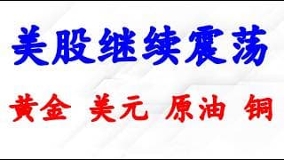 美股继续震荡；黄金 原油 铜大涨；美元弱势。