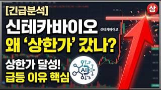 [신테카바이오 주가전망]🚨상한가 간 이유! 초대형호재 주주님들 꼭 보세요!! #신테카바이오 #신테카바이오주가 #신테카바이오주가전망