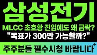 [삼성전기 주가전망] (속보) MLCC 초호황 진입해도 왜 급락? 목표가 300만 가능할까?